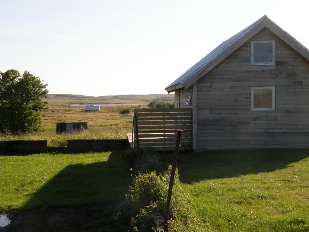 Cozy Cottage Near Geysir レイクホルト エクステリア 写真